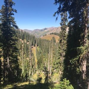 Meet your Posher, Cody